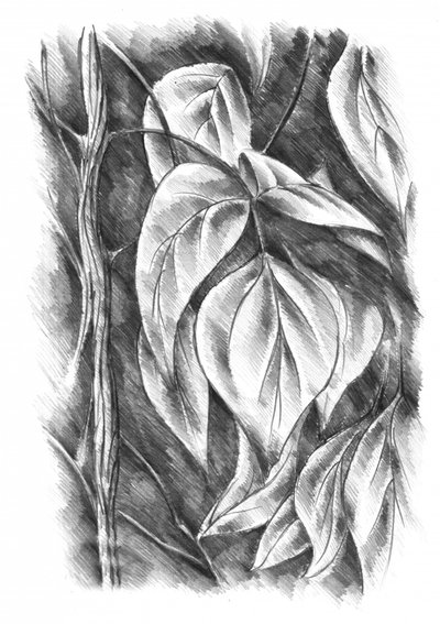 Shaded Botanical Leaves by Kulik