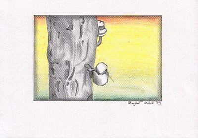 Tree Sap Collection Sunset by Kulik