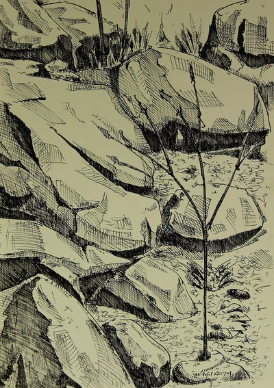 Young Tree Among Rocks by Kulik