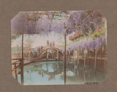 People on a Bridge, with Blooming Wisteria in the Foreground, in Kameido, Tokyo, Japan by Kusakabe Kimbei