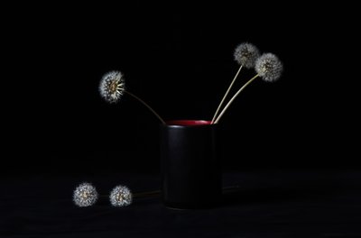Elegant Dandelions Vase by LM Meng
