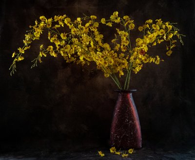 Golden Orchid Still Life by LM Meng