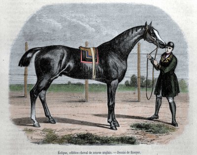 The English racing horse Eclipse. Illustration by Rouyer by L. (after) Rouyer