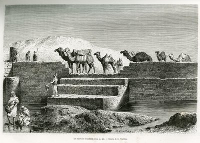 The Reservoir of Abdullah, Saudi Arabia, illustration from 