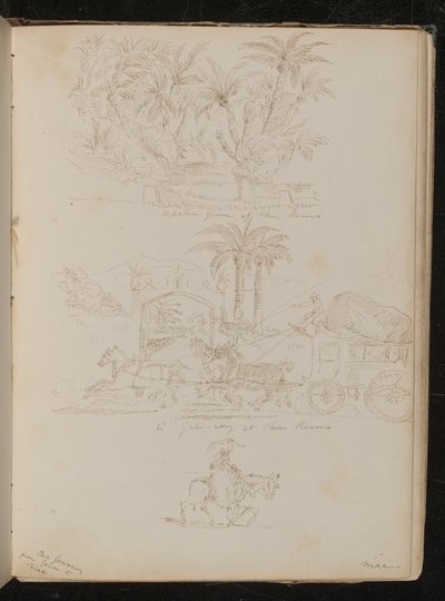 A palm grove at San Remo, a horse-drawn carriage in front of 