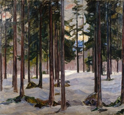 Trees in winter light by Lars Jorde