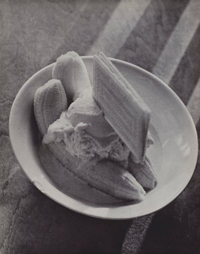 Banana Mess, The Caviar of Eton by Laszlo Moholy Nagy