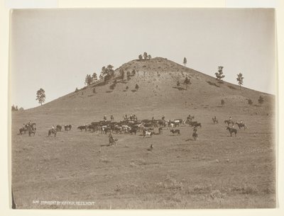 Working a Little Bunch in the Hills by Laton Alton Huffman