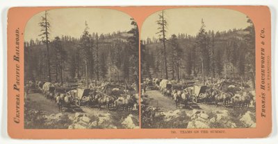Teams on the Summit by Lawrence and Houseworth