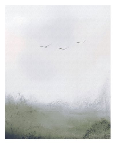 Birds Flying Over a Field by Leah Straatsma