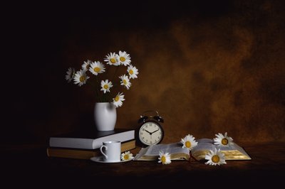 Daisies Books Morning Peace by Leah Xu