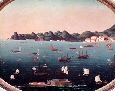 Whaling in the Bay of Guanabara in Brazil by Leandro Joachim
