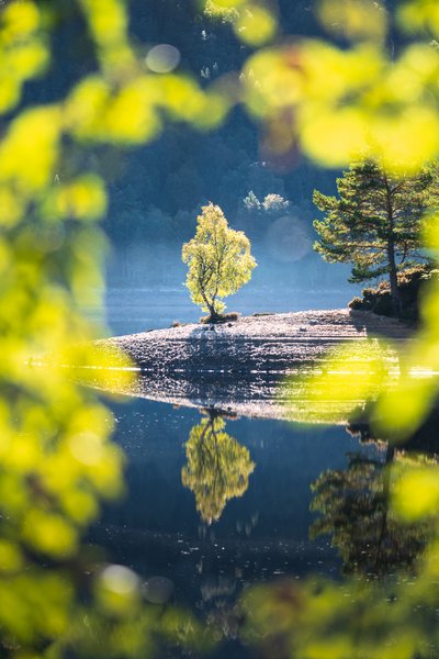 Druid’s Rest II by Lee Cooper