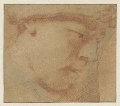 Head of a Boy, Facing Right by Leendert van der Cooghen (manner of)