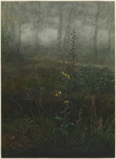 Gray Mullein in the Undergrowth by Léon Bonvin