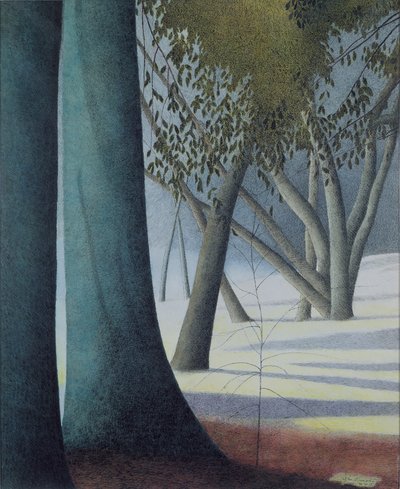 Beech Trunks by Leon Spilliaert