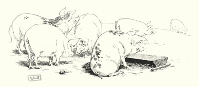 A long-tailed pig, or a short-tailed pig (engraving) by Leonard Leslie Brooke