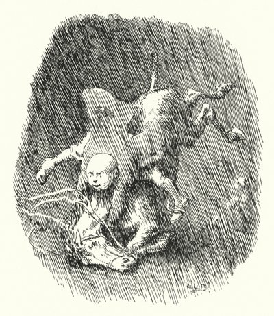 John Cook had a little grey mare (engraving) by Leonard Leslie Brooke