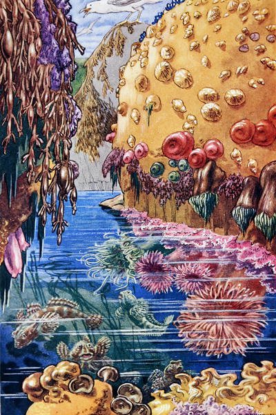 Illustration from 