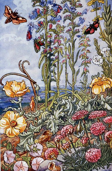 Illustration from 