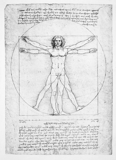 The Proportions of the human figure (after Vitruvius), c.1492 by Leonardo da (after) Vinci