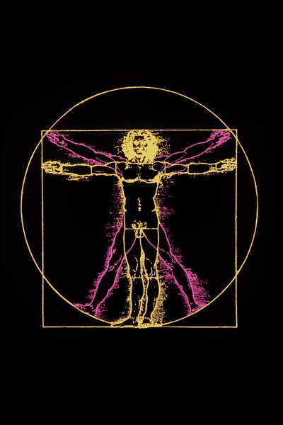 Vitruvian Man by Leonardo da (after) Vinci