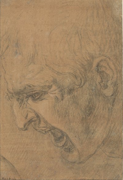 Head of a screaming man by Leonardo da (follower of) Vinci