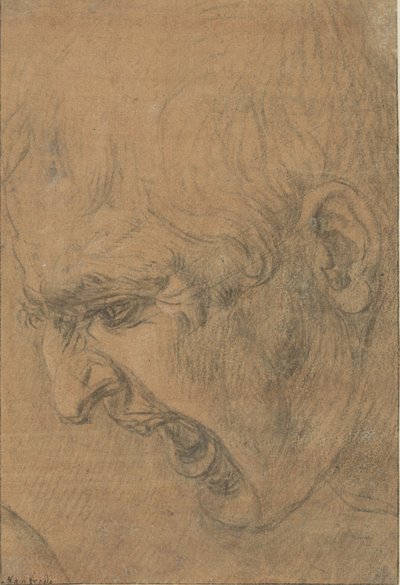 Head of a Screaming Man by Leonardo da Vinci (follower of)
