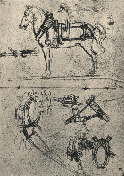 A Harnessed Cart-Horse and Studies of Harness by Leonardo da Vinci