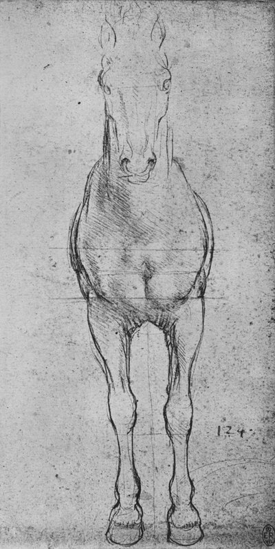 A Horse Seen from the Front by Leonardo da Vinci