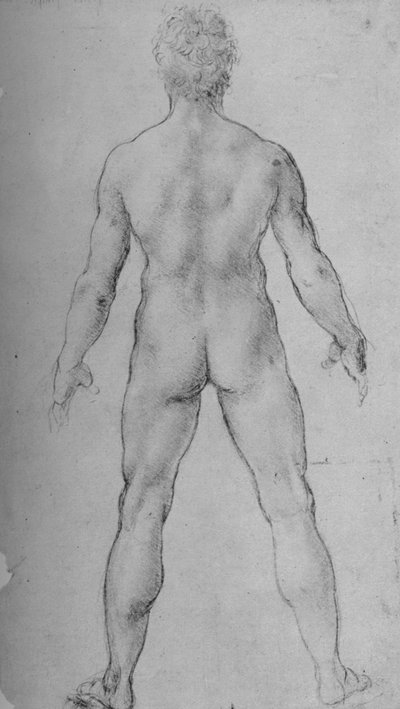 A Nude Man seen from the Back, c1480-1945 by Leonardo da Vinci