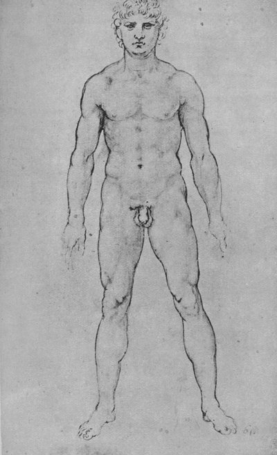 A Nude Man seen from the Front by Leonardo da Vinci