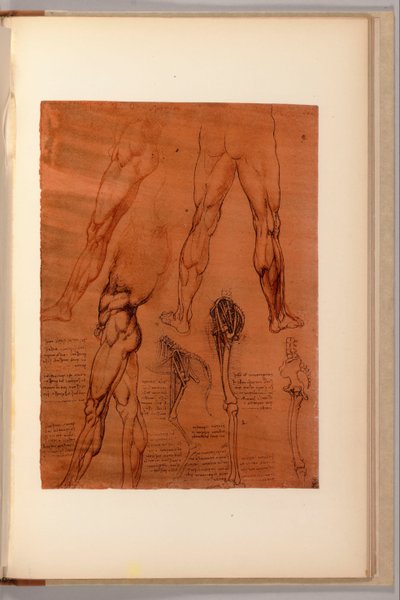 A Page from 