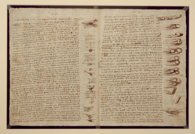 A Page from the Codex Leicester, 1508-12 by Leonardo da Vinci