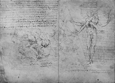 Allegories of Pleasure and Pain and of Envy by Leonardo da Vinci