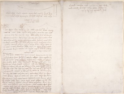 Notes and Diagrams on the Flight of Birds, from 