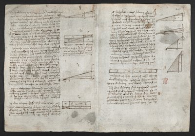 Drawings on the mechanical powers and forces, percussion, gravity, motion, optics and astronomy, with various arithmetical and geometrical propositions, illustration from Leonardo