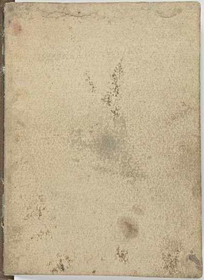 Bird Flight Code, c. 1505-06 by Leonardo da Vinci