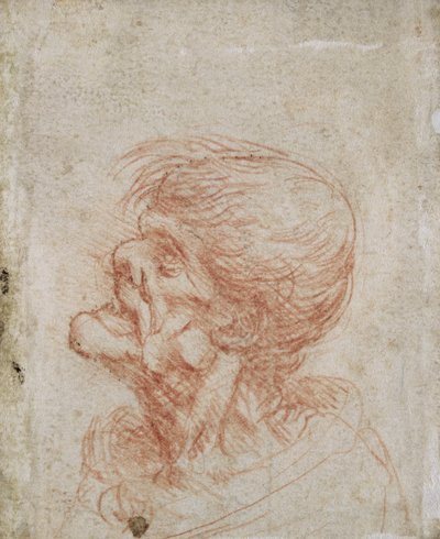 Caricature Head Study of an Old Man, c.1500-05 by Leonardo da Vinci