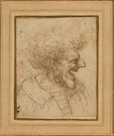 Caricature of a Man with Bushy Hair by Leonardo da Vinci