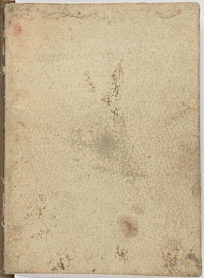 Code on the Flight of Birds by Leonardo da Vinci