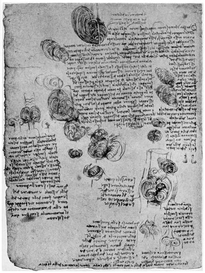 Diagram of the Blood Vortex in the Heart by Leonardo da Vinci