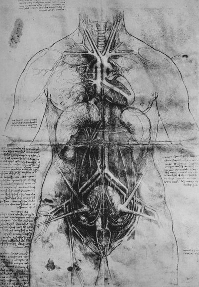 Dissection of the Principal Organs of a Woman by Leonardo da Vinci
