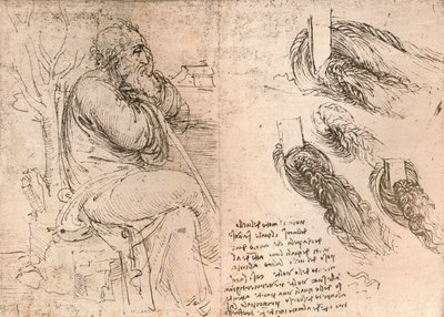 Drawing Illustrating the Representation of Hair Falling Down in Curls by Leonardo da Vinci
