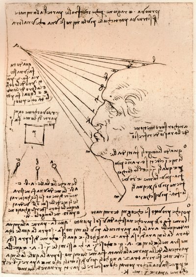 Drawing of a male head, illustrating the practice of painting, c1472-c1519 by Leonardo da Vinci