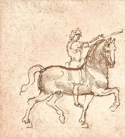 Drawing of a Walking Horse by Leonardo da Vinci