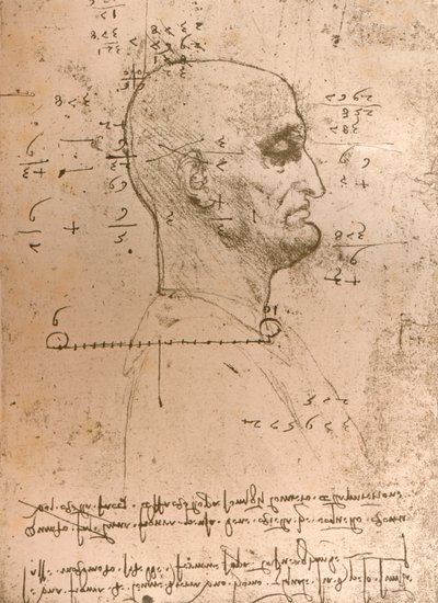 Drawing of the Head of a Criminal, c1472-c1519 by Leonardo da Vinci