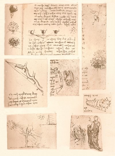 Five Drawings Illustrating the Elements of Landscape Painting by Leonardo da Vinci