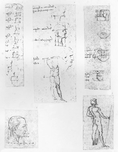 Five drawings illustrating the theory of the proportions of the human figure, c. 1472-c. 1519 by Leonardo da Vinci