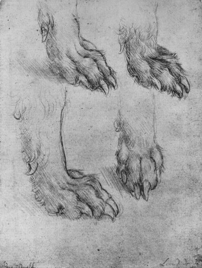 Four Studies of the Paws of a Dog or Wolf by Leonardo da Vinci